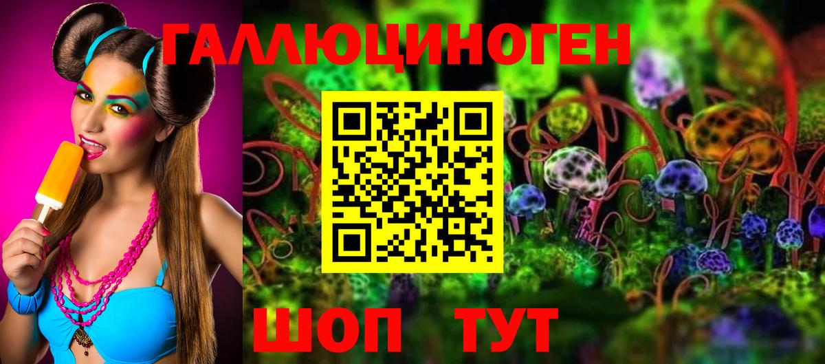 Пыть-Ях  Псилоцибиновые грибы MAGIC MUSHROOMS  Вход с VPN 