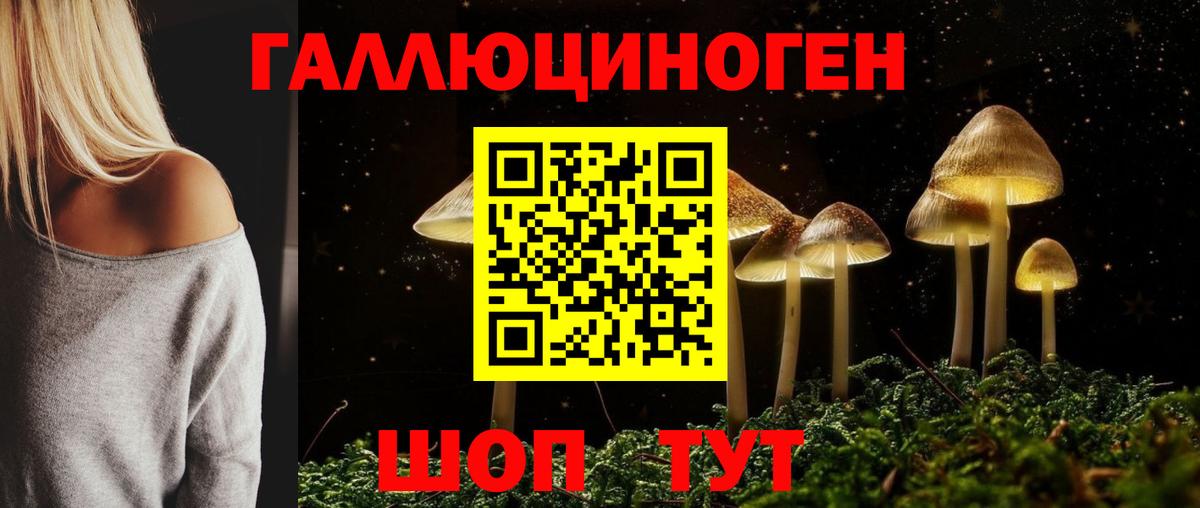 Псилоцибиновые грибы Psilocybe Пыть-Ях